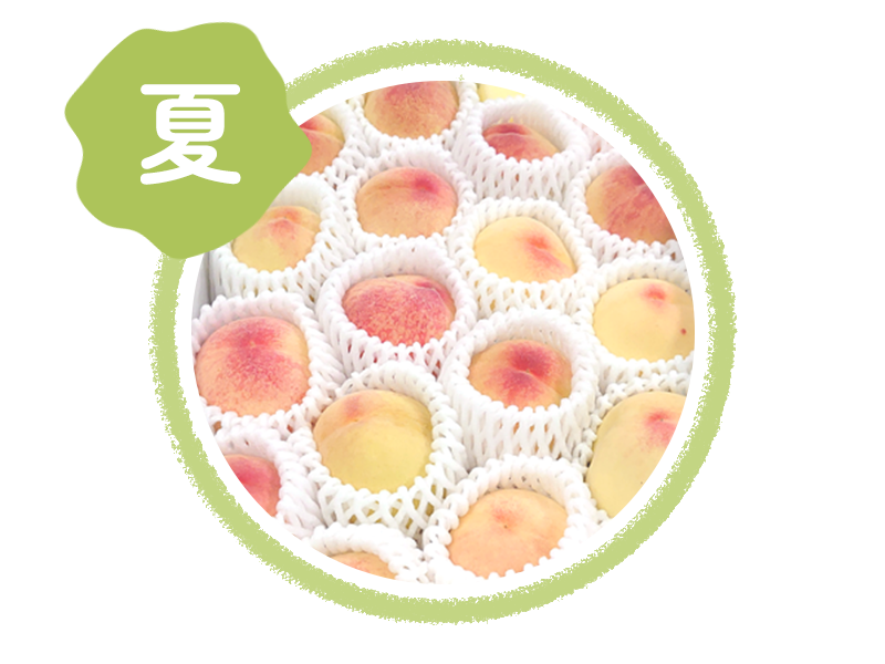 夏